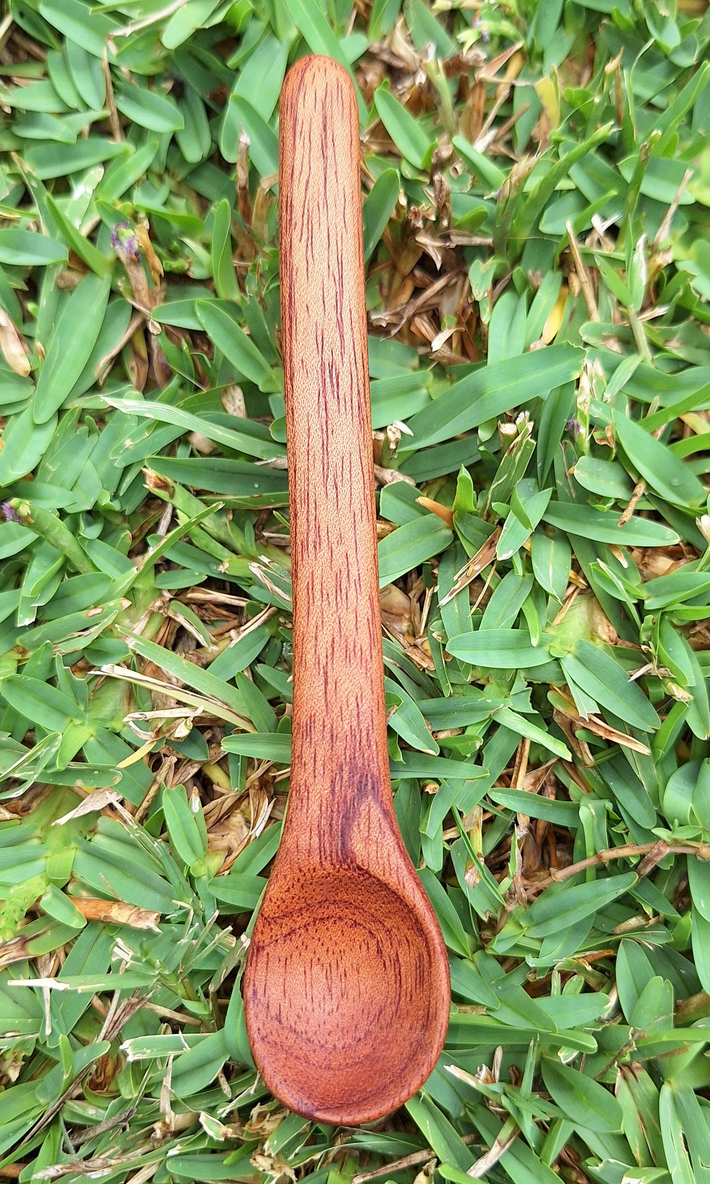Mahogany Herb Spoon