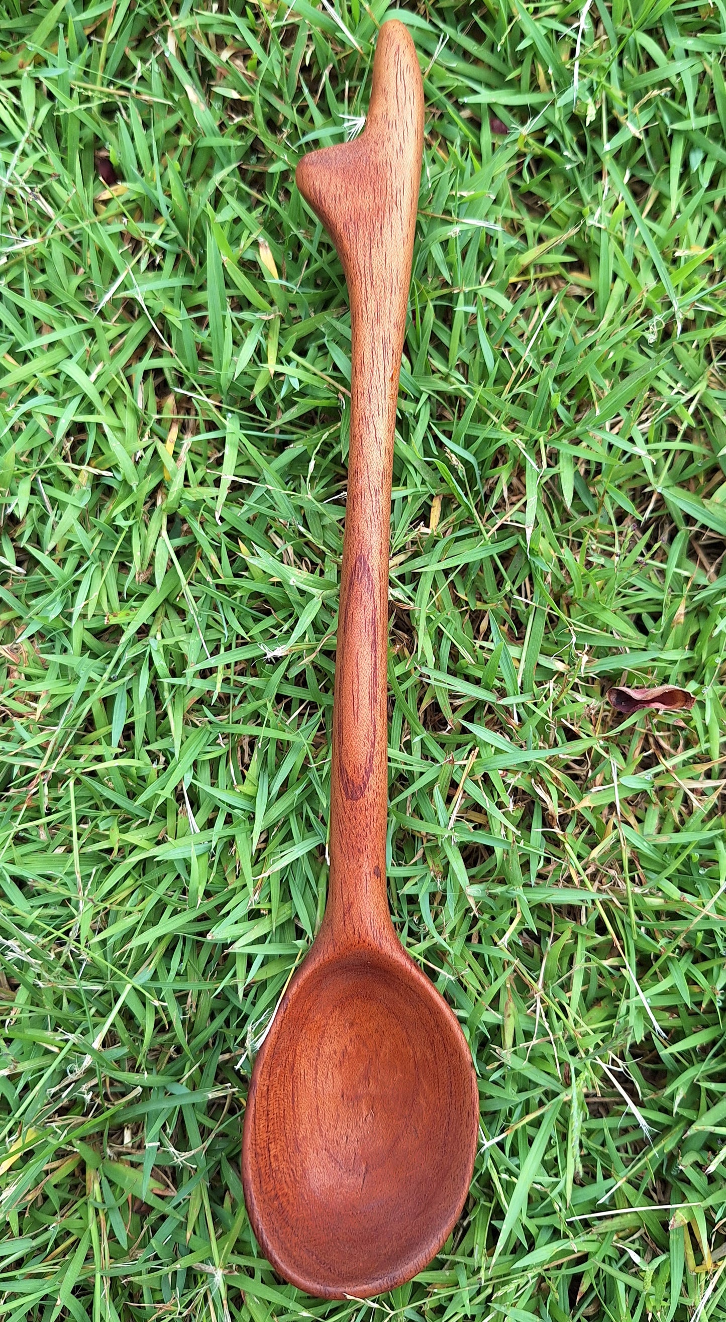 Mahogany Serving Spoon