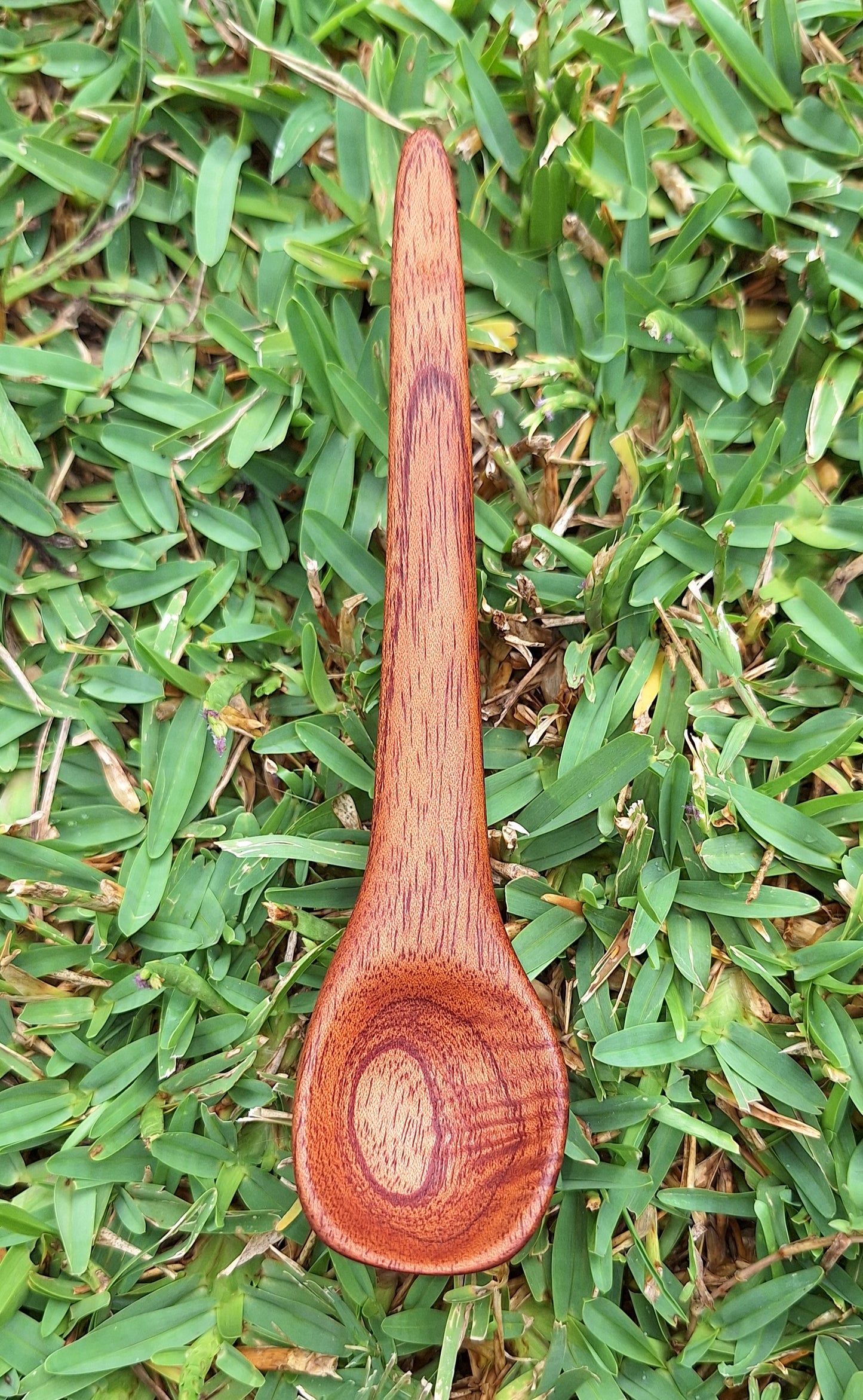 Mahogany Sauce Tasting Spoon